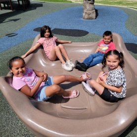 _d_3897gh_1_a38Ud018svcinbc9j7k5cqk_208msa