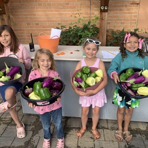 com.nhncorp.m2app 23.0.3 com.nhncorp.m2app 23.0.3